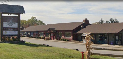 A quaint shopping area with a sign for a fall festival, featuring several storefronts and a grassy foreground.