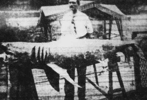 A man stands beside a large shark on a dock, with wooden structures in the background. The image is grainy and black-and-white.