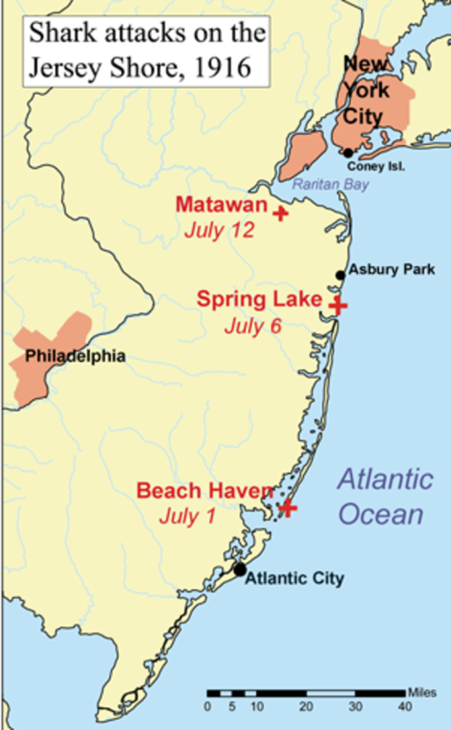 Map showing locations and dates of shark attacks on the Jersey Shore in 1916, including Matawan, Spring Lake, and Beach Haven.