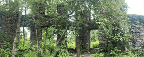 Panoramic view of stone ruins overgrown with greenery, surrounded by trees and lush vegetation.