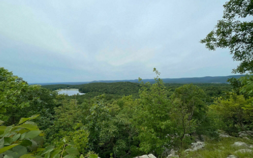 A panoramic view of lush green trees and rolling hills under a cloudy sky, with a lake visible in the distance.