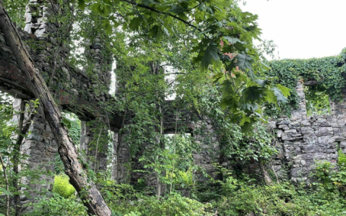 Overgrown stone ruins surrounded by lush greenery and trees, creating a serene, natural atmosphere.