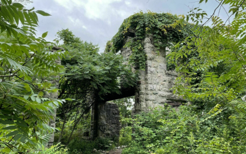 Overgrown stone ruins surrounded by lush green foliage and trees under a cloudy sky.