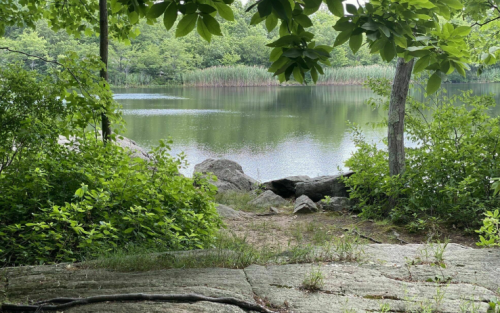 A serene lake surrounded by lush greenery and trees, reflecting the calm water and peaceful nature.