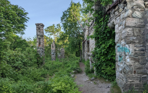 Overgrown stone ruins surrounded by lush greenery and trees, with a clear blue sky above.