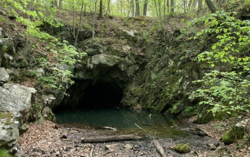A dark cave entrance surrounded by lush green trees and rocky terrain, with a small pool of water in front.