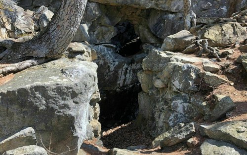 A rocky cave entrance surrounded by stones and tree roots in a natural outdoor setting.