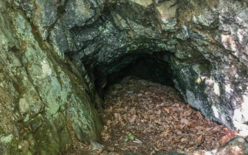 A dark cave entrance surrounded by rocky walls and scattered leaves on the ground.