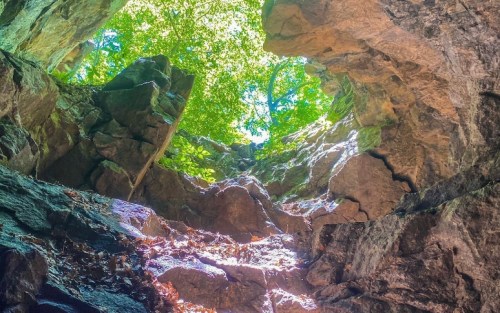 View from inside a rocky cave, looking up at bright green trees and sunlight filtering through the opening above.