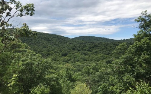 Lush green mountains under a partly cloudy sky, showcasing a vibrant forest landscape.