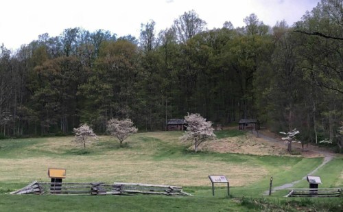 A serene landscape featuring flowering trees, a grassy field, and wooden signs, surrounded by lush green forest.