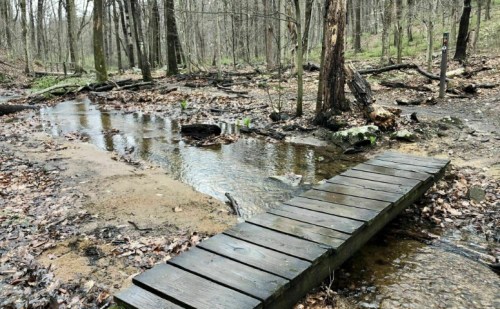 A wooden bridge over a shallow stream in a forest with bare trees and scattered leaves on the ground.