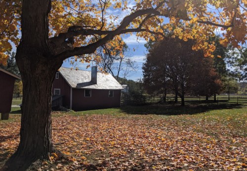 A red barn-style house surrounded by colorful autumn leaves and trees under a clear blue sky.