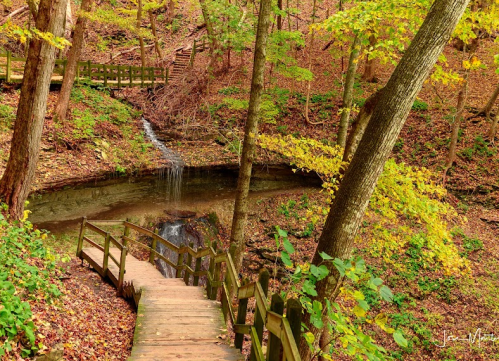 A serene forest scene with a wooden path, a small waterfall, and vibrant autumn foliage.