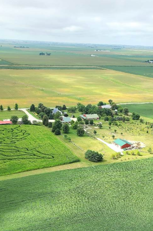 Aerial view of a rural farm with fields, a house, and a red barn surrounded by green crops and open land.