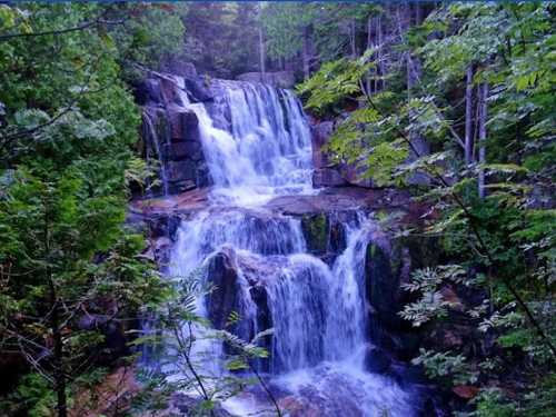 A serene waterfall cascading over rocks, surrounded by lush green trees and foliage.