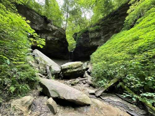 A lush green canyon with large rocks and a small waterfall in the background, surrounded by dense foliage.