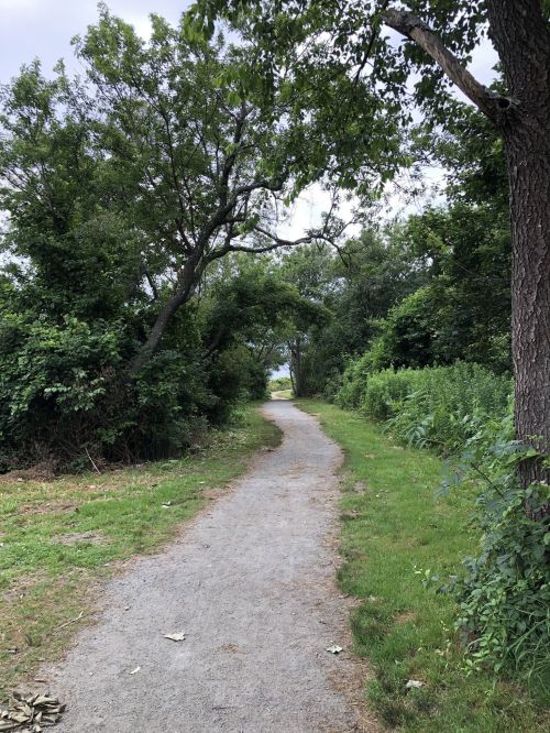A gravel path surrounded by greenery, leading into a wooded area with trees on either side.