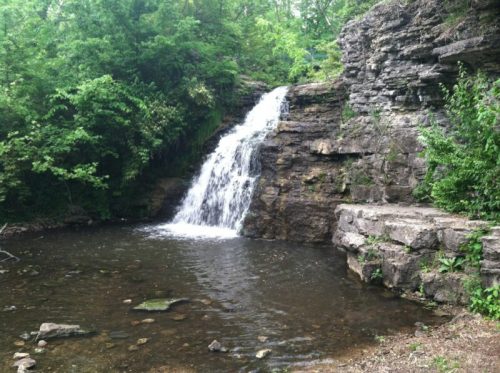 A serene waterfall cascading over rocky cliffs into a calm pool, surrounded by lush green foliage.