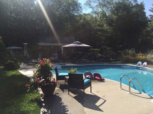 A sunny backyard pool area with lounge chairs, umbrellas, and lush greenery surrounding the pool.