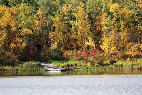 A serene lake surrounded by vibrant autumn foliage and a small dock leading to a wooded path.