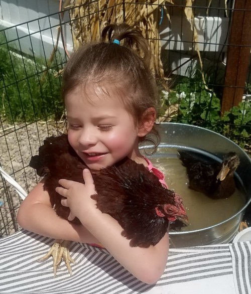 A young girl hugs a chicken while a duck swims in a nearby tub, surrounded by greenery and a fence.