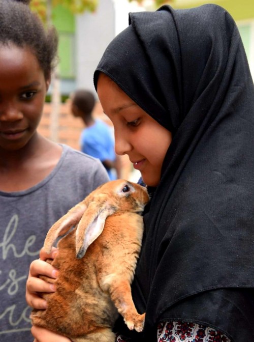 A girl in a black hijab gently holds a rabbit, smiling, while another girl watches in the background.