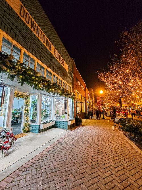 A festive downtown street at night, featuring a flower shop and holiday lights on trees and buildings.