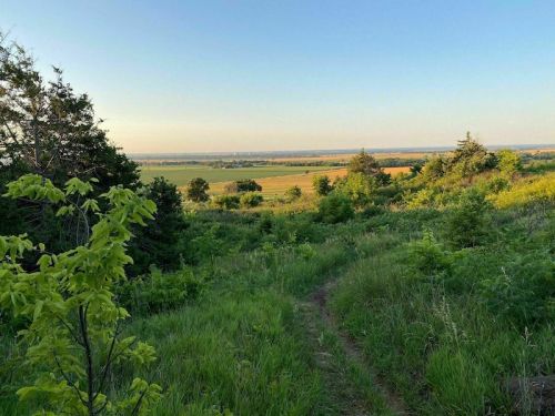 A scenic view of rolling green hills and fields under a clear blue sky, with a winding path through lush vegetation.