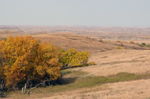 A scenic view of rolling hills with autumn trees and golden grass under a clear sky.