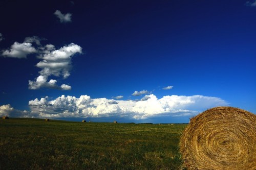 A sunny landscape featuring a round hay bale in a green field under a blue sky with fluffy white clouds.