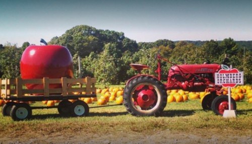A red tractor next to a large apple on a wagon, surrounded by pumpkins and an orchard in the background.