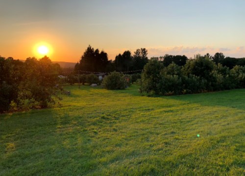 A serene landscape at sunset, featuring a grassy field, trees, and a warm orange sky.