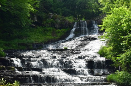 A cascading waterfall flows over rocky steps, surrounded by lush green trees and foliage.