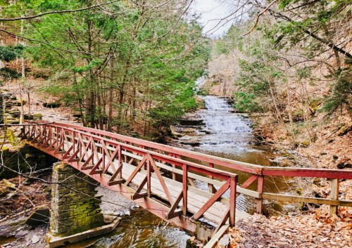 A wooden bridge crosses a stream surrounded by trees and rocky terrain, with a waterfall in the background.