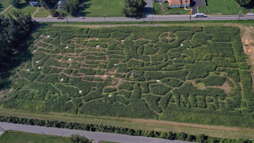 Aerial view of a corn maze featuring the words "MAIZE AMERICA" and various designs in a green field.