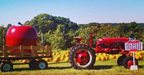 A red tractor pulling a cart with a giant apple, surrounded by pumpkins and an orchard sign for Holmberg Orchards.