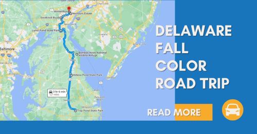 Map showing a route for a Delaware fall color road trip, with a highlighted path and a "Read More" button.