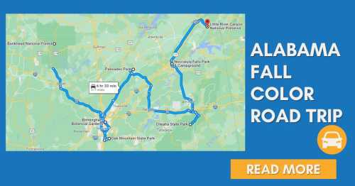 Map of a scenic road trip in Alabama, highlighting fall colors and key destinations like Little River Canyon and Cheaha State Park.