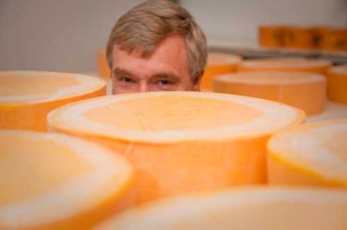 A man peeks over large rounds of orange cheese in a storage area.