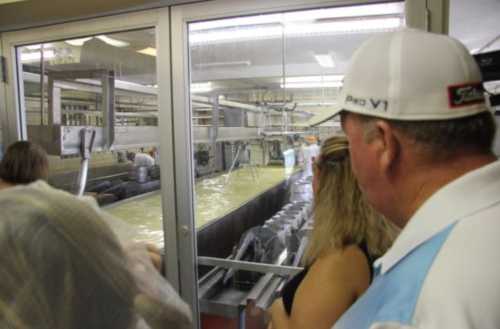 A group of people observing a large industrial process through a glass window, with machinery and liquid visible inside.