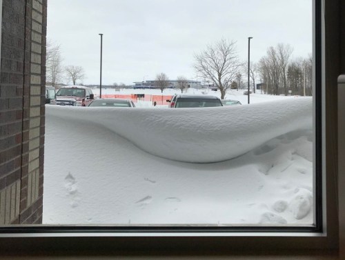 A window view showing a large snowdrift piled against the glass, with cars and trees visible in the background.