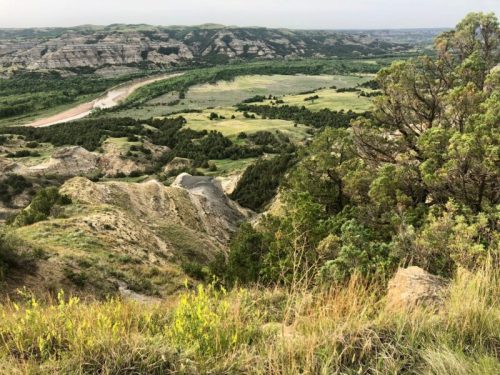 A scenic view of rolling hills and a winding river, surrounded by lush greenery and distant mountains under a clear sky.