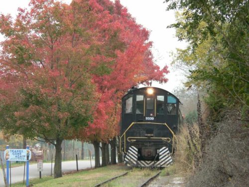 A black train engine near colorful autumn trees with vibrant red leaves, alongside a road and a sign in the foreground.