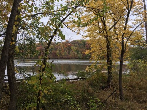 A serene river scene framed by trees with autumn leaves, reflecting colorful foliage on the water's surface.