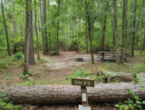 A wooded campsite with a sign for Site #9, featuring a picnic table and a fire pit surrounded by trees.
