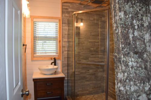 A modern bathroom featuring a glass shower, wooden accents, and a tree trunk integrated into the design.