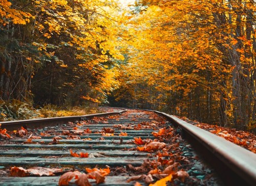A scenic view of a railway track surrounded by vibrant autumn foliage and fallen leaves.