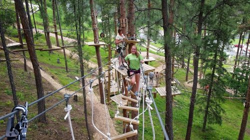 Two children navigate a treetop obstacle course among tall trees, with wooden platforms and ropes in a forested area.