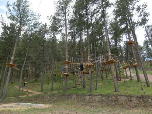 A treetop adventure course with wooden platforms and ropes, surrounded by tall pine trees and a grassy area.
